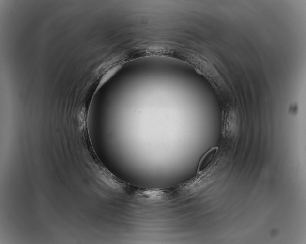 X0000098220478200805011238