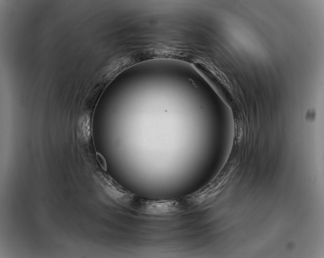 X0000098220479200805011238