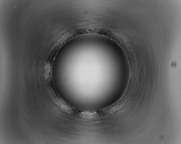 X0000098220480200805011238