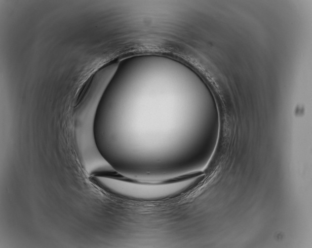 X0000098220481200805011238