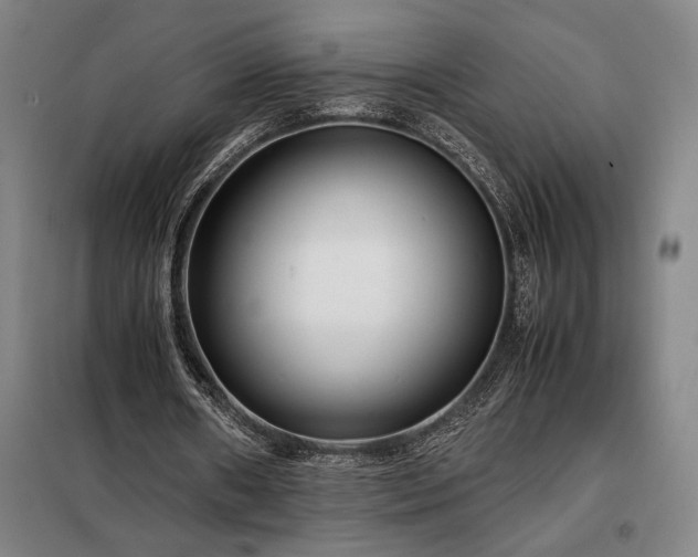 X0000098220482200805011238