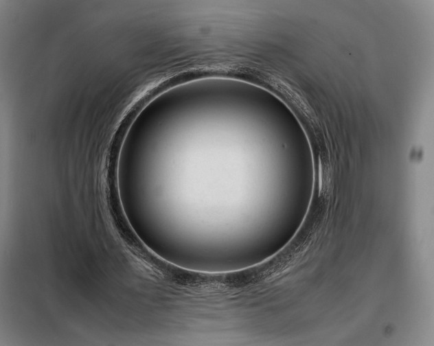 X0000098220483200805011237