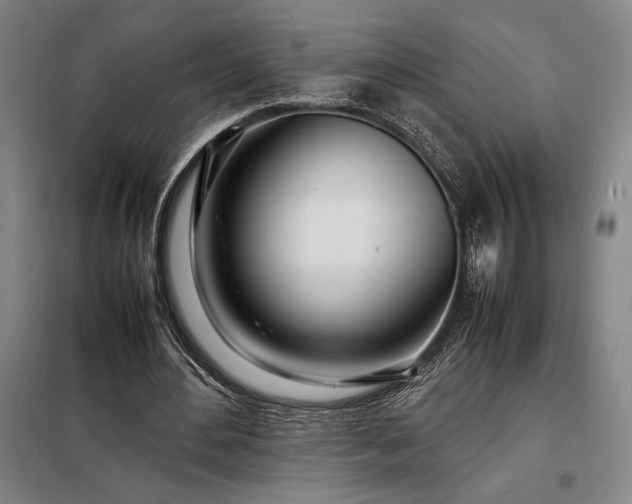 X0000098220484200805011237