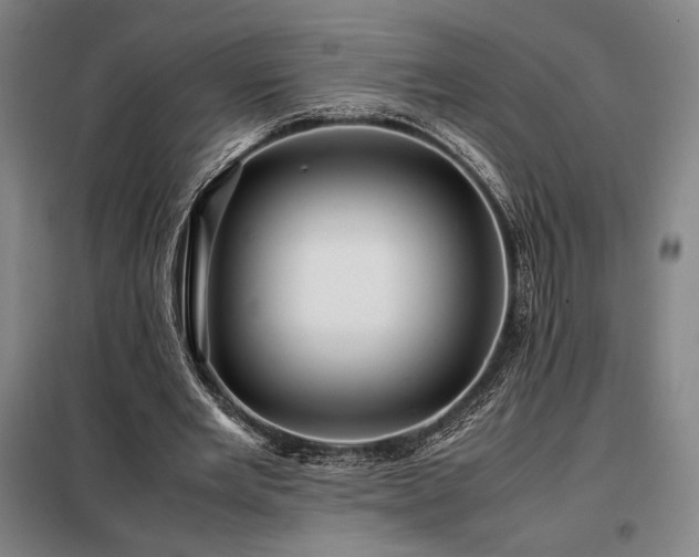 X0000098220485200805011237