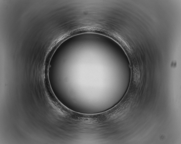 X0000098220486200805011237