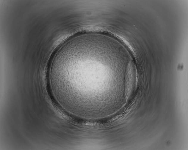 X0000098220487200805011237