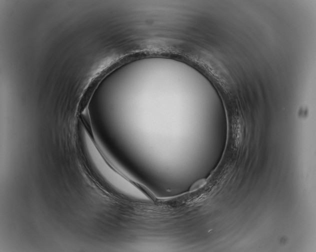 X0000098220488200805011237