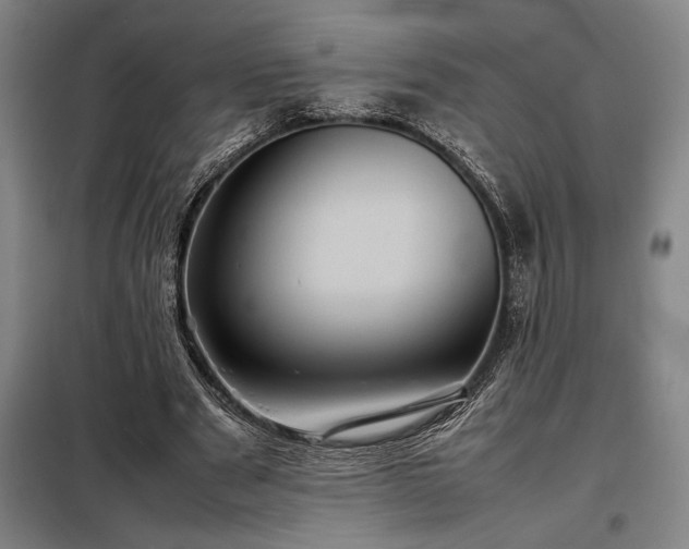 X0000098220489200805011237