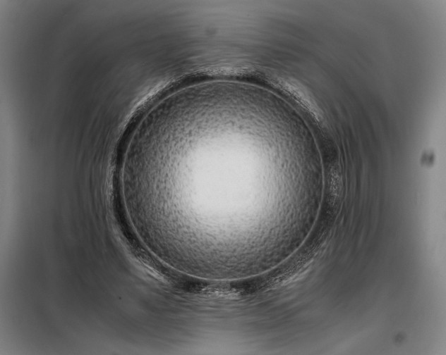 X0000098220491200805011237