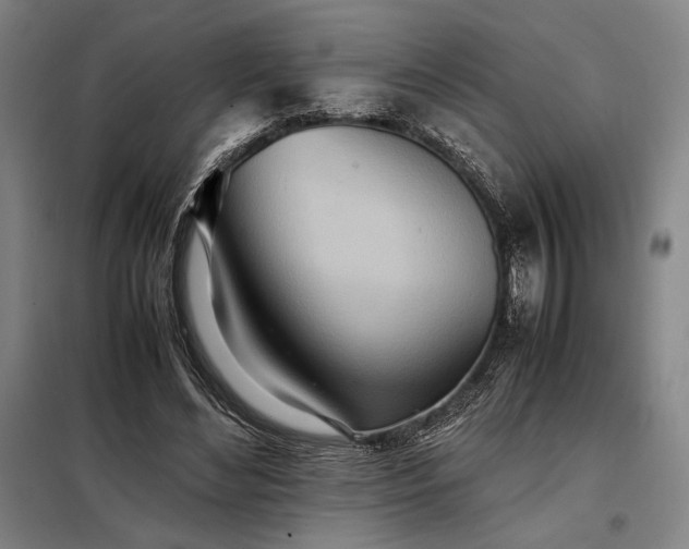 X0000098220492200805011237