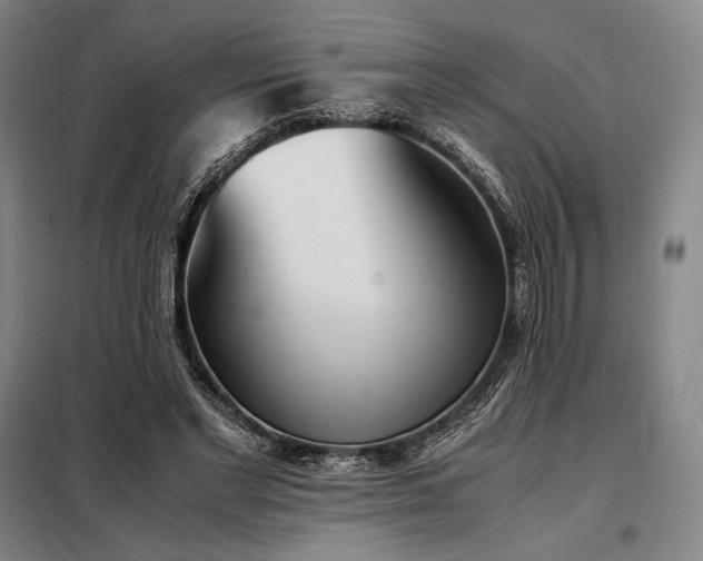 X0000098220493200805011237