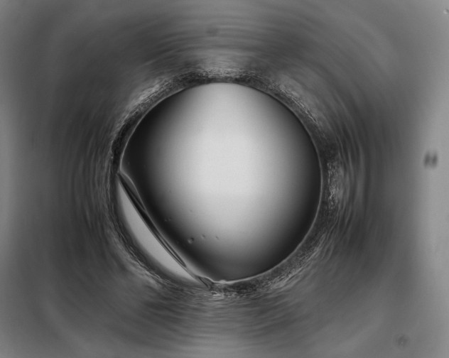 X0000098220494200805011237