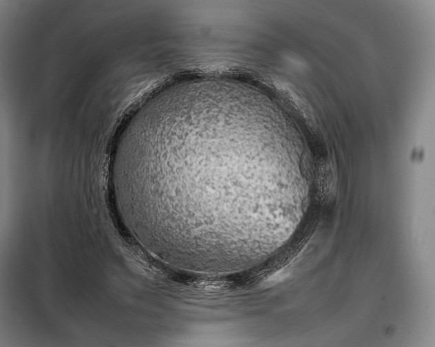 X0000098220495200805011237