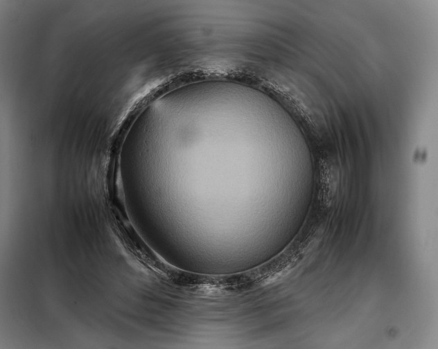 X0000098220496200805011237