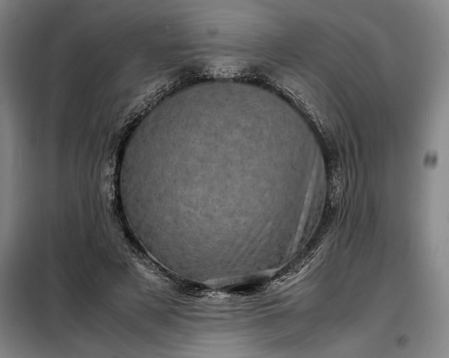 X0000098220497200805011237