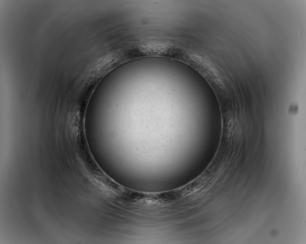 X0000098220498200805011237