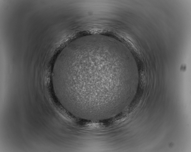 X0000098220499200805011237