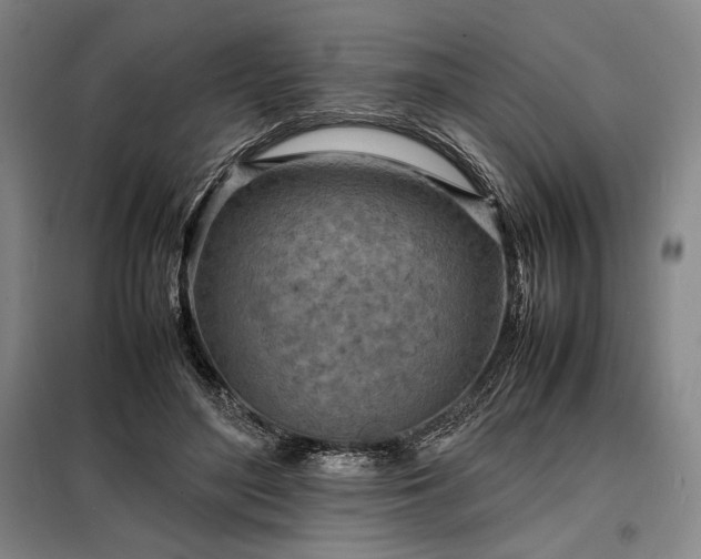 X0000098220500200805011237