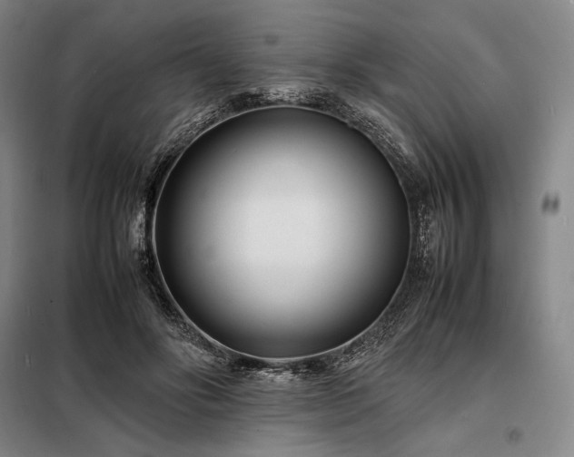 X0000098220502200805011237