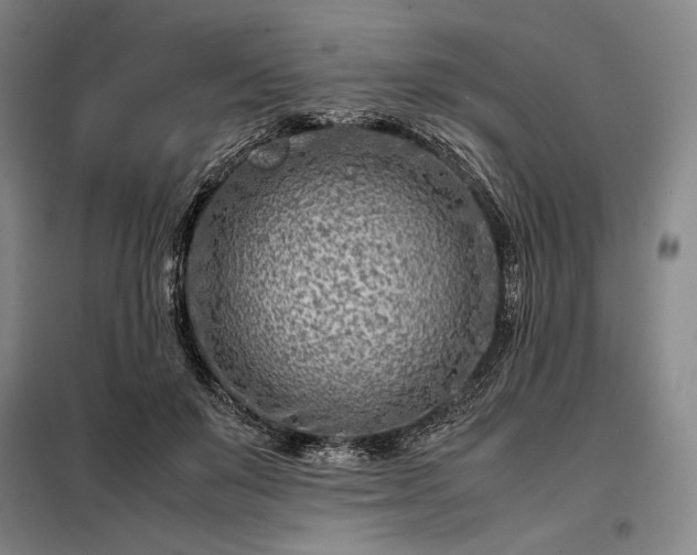 X0000098220503200805011237