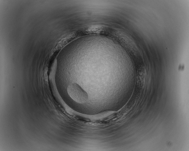 X0000098220504200805011237