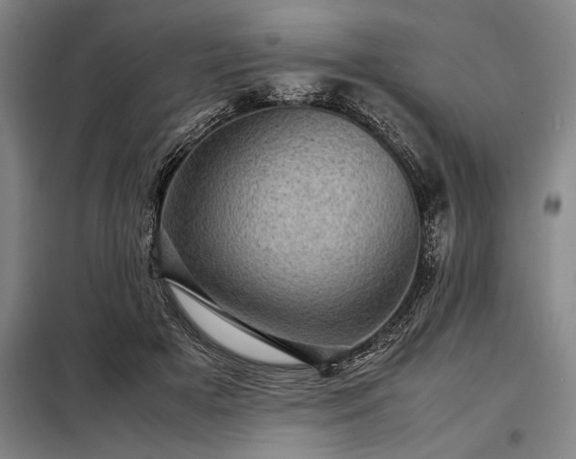 X0000098220505200805011237