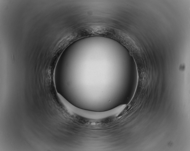 X0000098220506200805011237