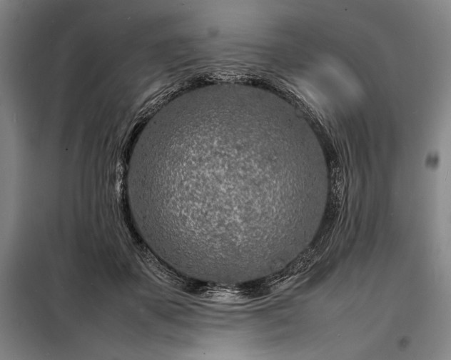 X0000098220507200805011237