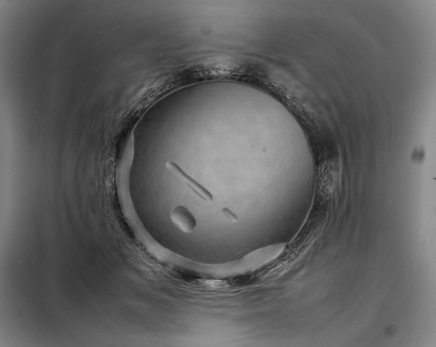 X0000098220509200805011237