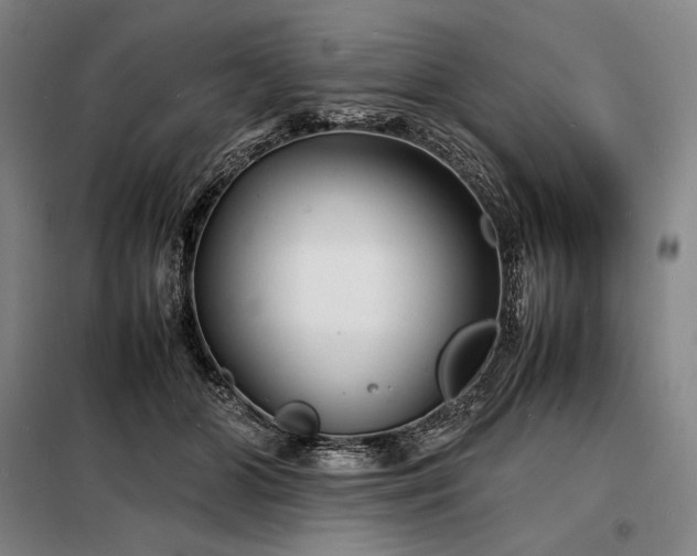 X0000098220510200805011237