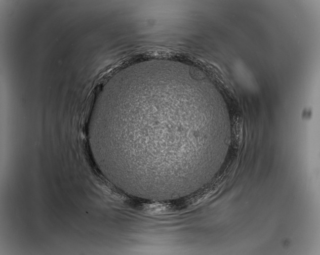 X0000098220511200805011237