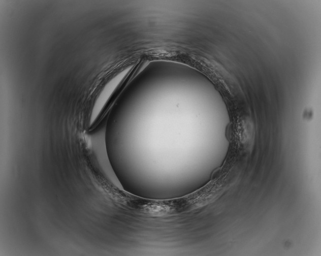 X0000098220512200805011237