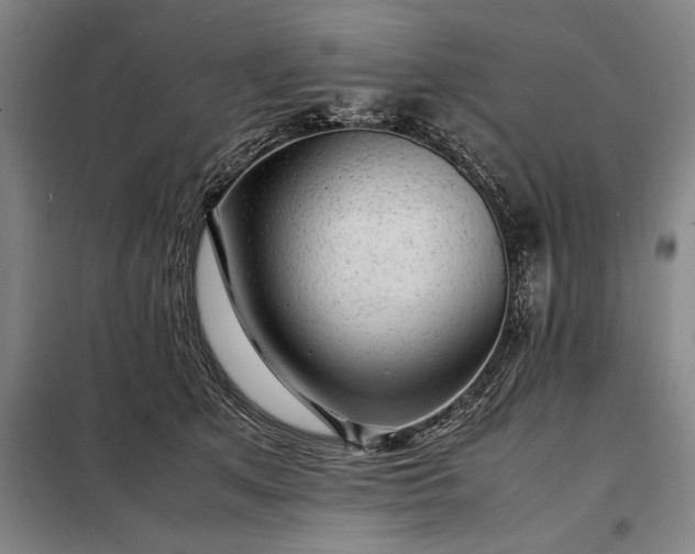 X0000098220513200805011237