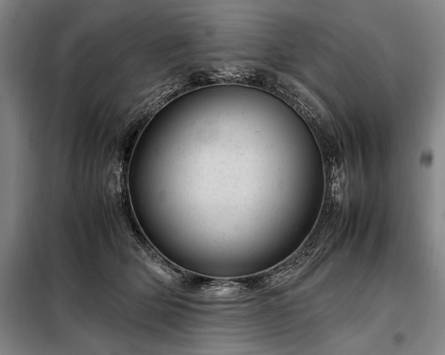 X0000098220514200805011237