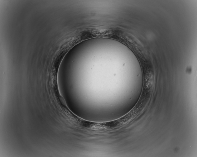 X0000098220515200805011237