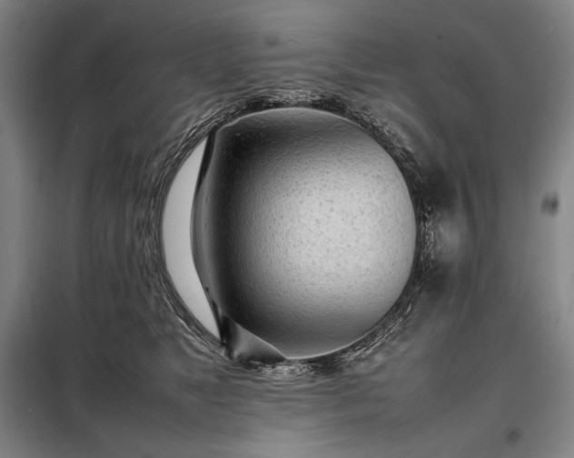 X0000098220517200805011237