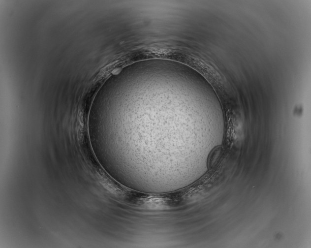 X0000098220518200805011237