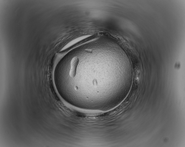 X0000098220519200805011237