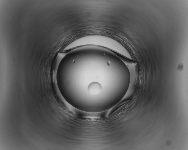 X0000098220520200805011237