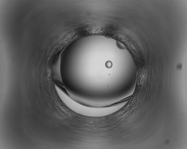 X0000098220521200805011237