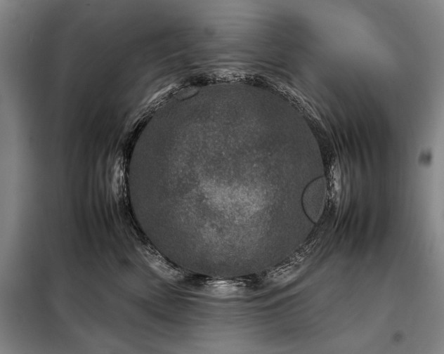 X0000098220522200805011237