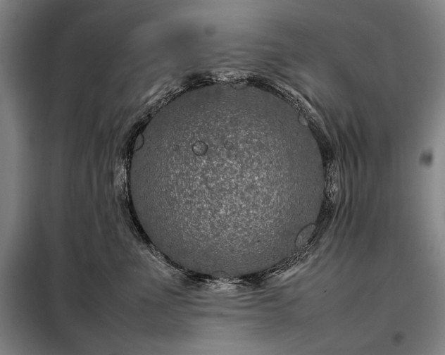 X0000098220523200805011237