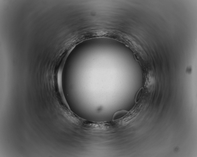 X0000098220524200805011237