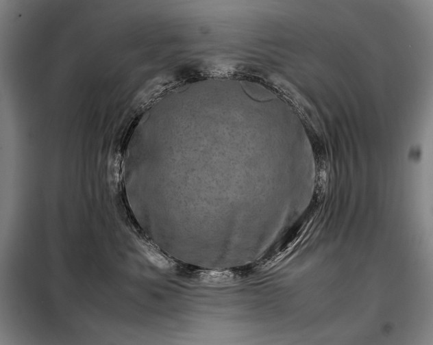 X0000098220525200805011237