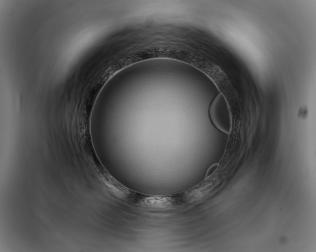 X0000098220526200805011237