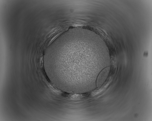 X0000098220527200805011237