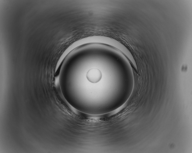 X0000098220528200805011237