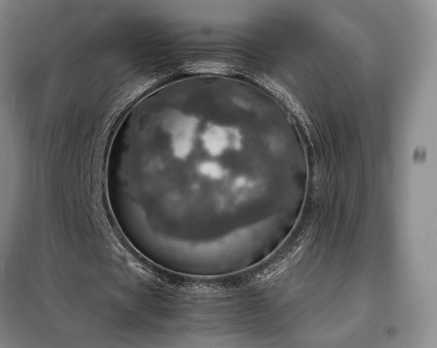 X0000098220529200805011236