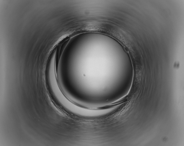 X0000098220530200805011236