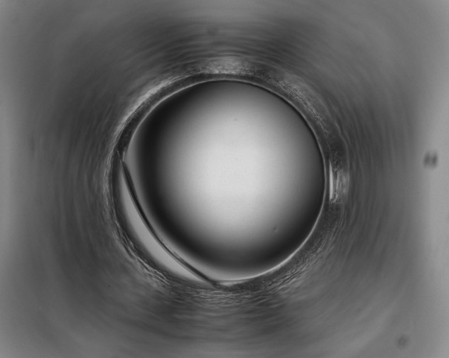 X0000098220531200805011236